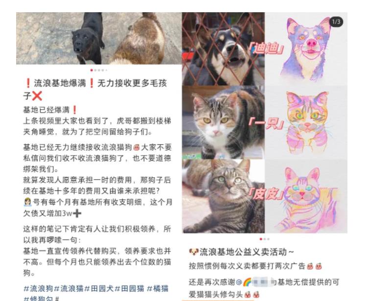 《小红书小动物打赏与购买变现项目》一条龙玩法分享