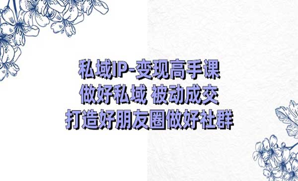 《私域IP变现高手课》做好私域被动成交，打造好朋友圈做好社群（18节）